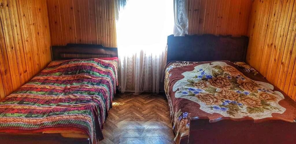Guest House Buba 위시굴리 외부 사진